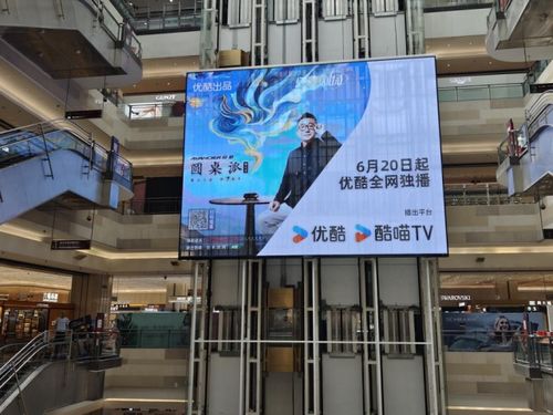 宁静在喧嚣 从《圆桌派》看时代稀缺的“聊愈力”