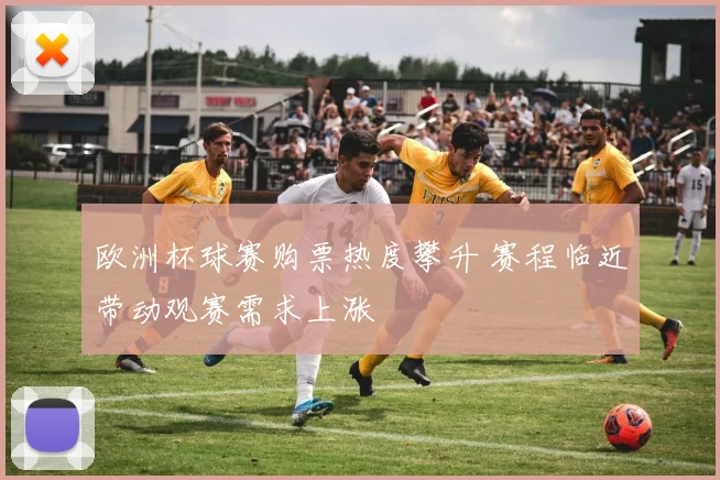欧洲杯球赛购票热度攀升 赛程临近带动观赛需求上涨