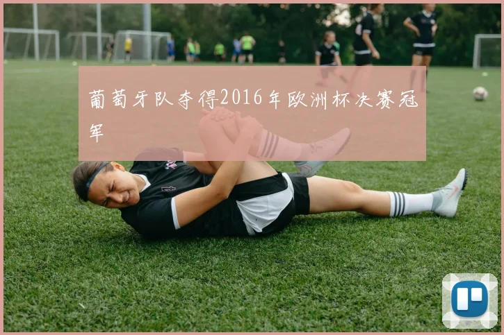 葡萄牙队夺得2016年欧洲杯决赛冠军