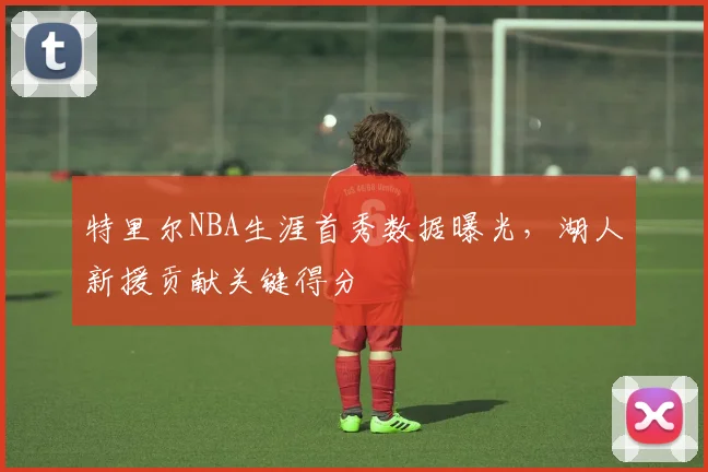 特里尔NBA生涯首秀数据曝光，湖人新援贡献关键得分