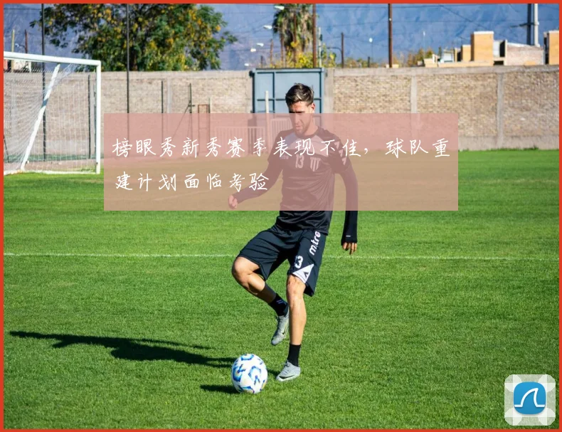 榜眼秀新秀赛季表现不佳,球队重建计划面临考验