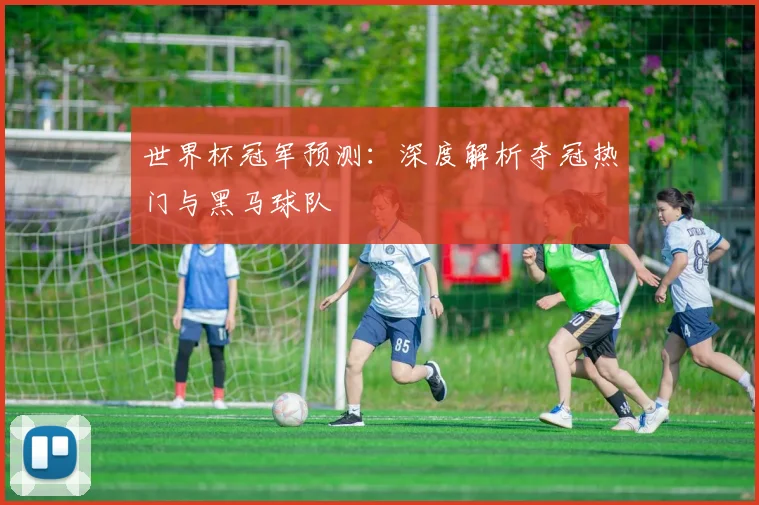 世界杯冠军预测：深度解析夺冠热门与黑马球队