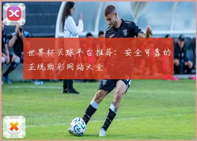 世界杯买球平台推荐：安全可靠的正规购彩网站大全