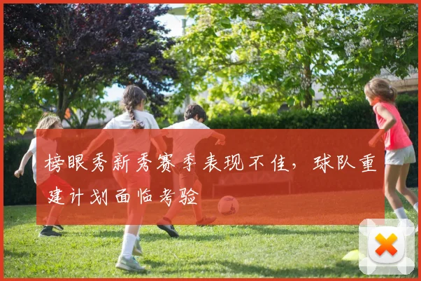 榜眼秀新秀赛季表现不佳，球队重建计划面临考验
