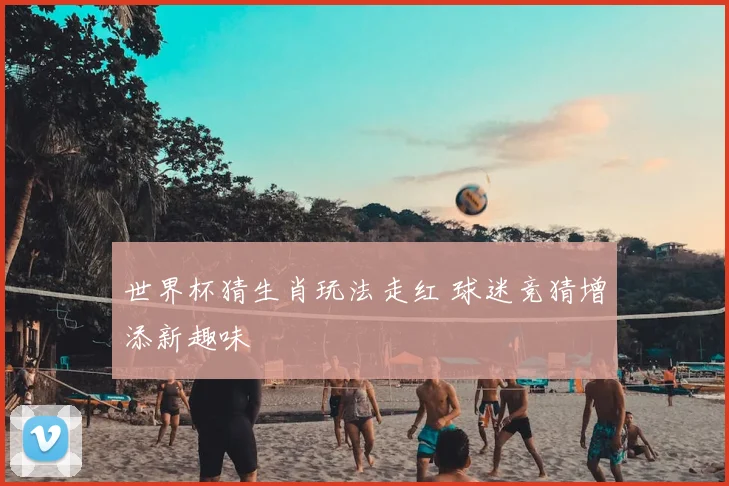 世界杯猜生肖玩法走红 球迷竞猜增添新趣味