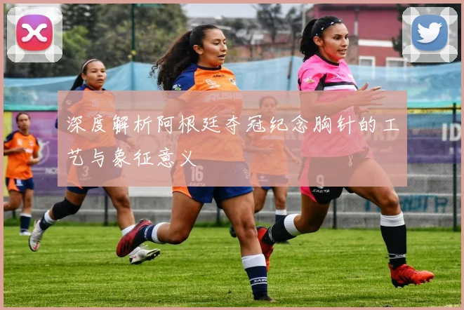 深度解析阿根廷夺冠纪念胸针的工艺与象征意义