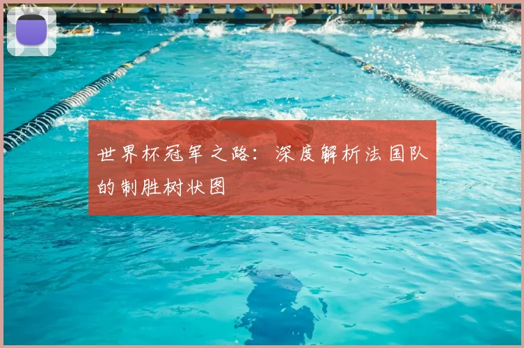世界杯冠军之路:深度解析法国队的制胜树状图