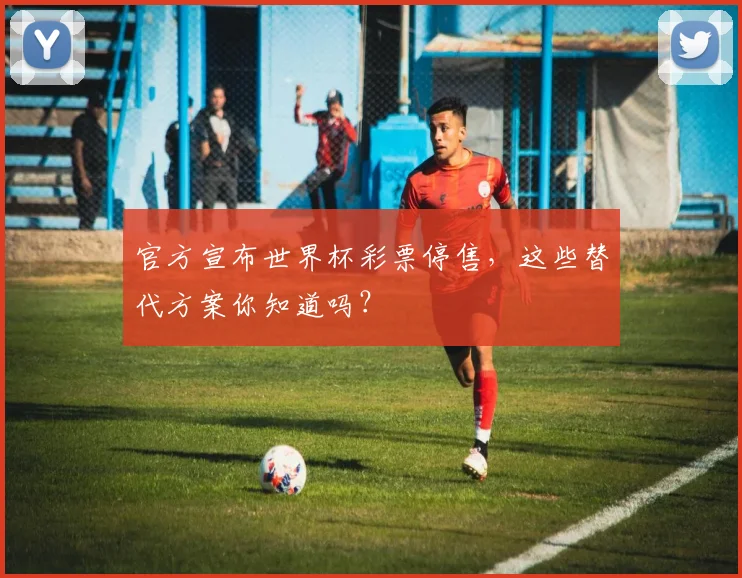 官方宣布世界杯彩票停售，这些替代方案你知道吗？