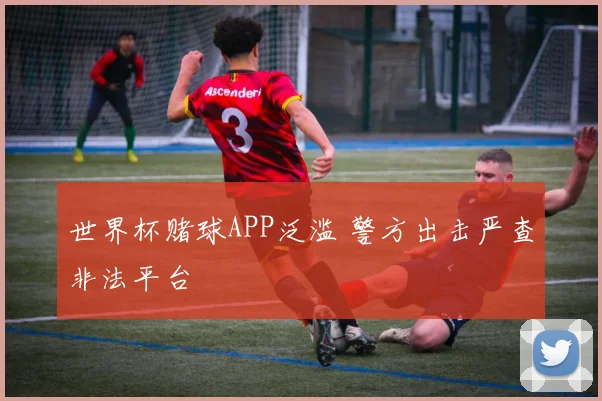 世界杯赌球APP泛滥 警方出击严查非法平台