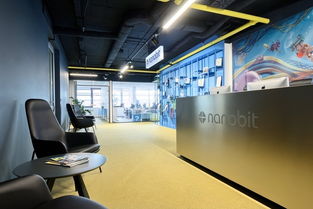 合肥装修公司如何塑造优质的办公环境与影视节目策划的结合